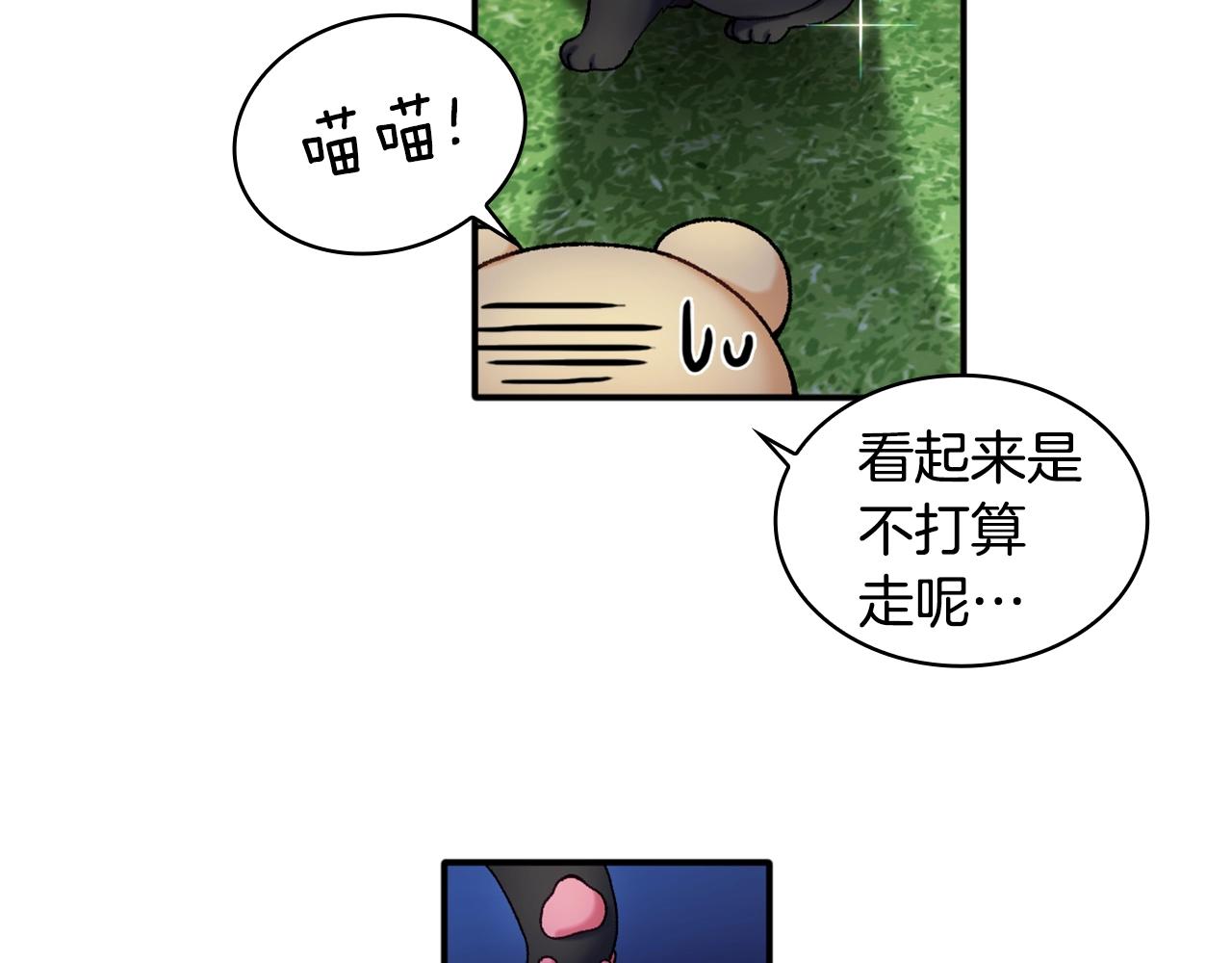 第9话 勇敢熊熊，不怕猫猫！31