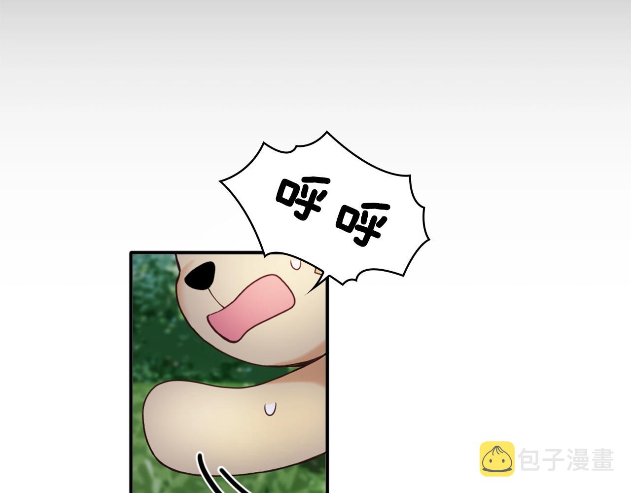 第9话 勇敢熊熊，不怕猫猫！20