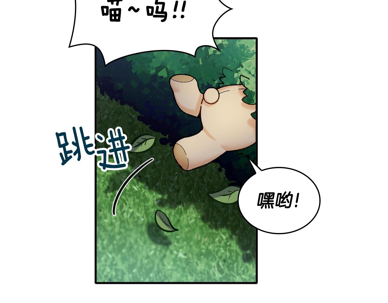第9话 勇敢熊熊，不怕猫猫！56