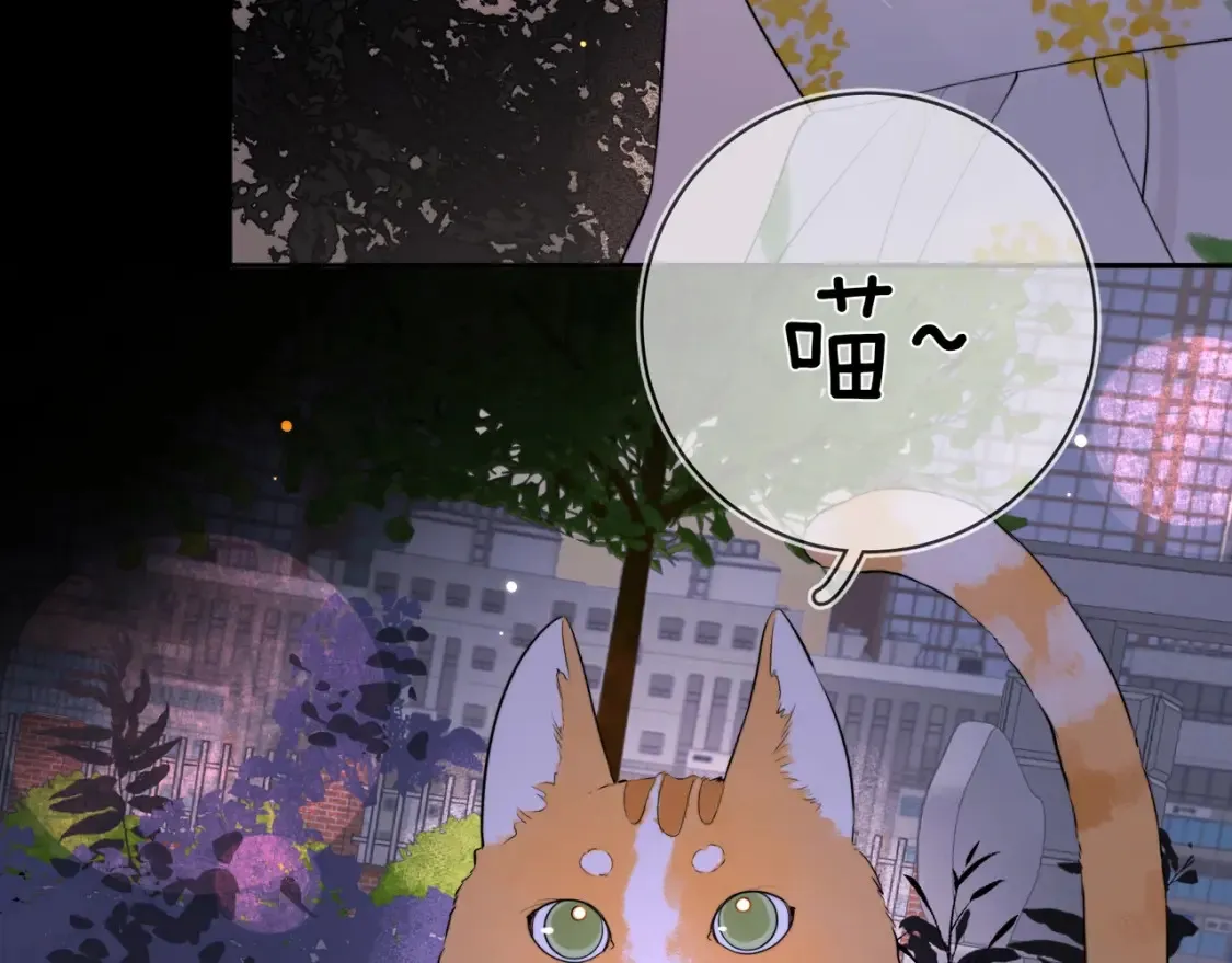 第9话 分了45