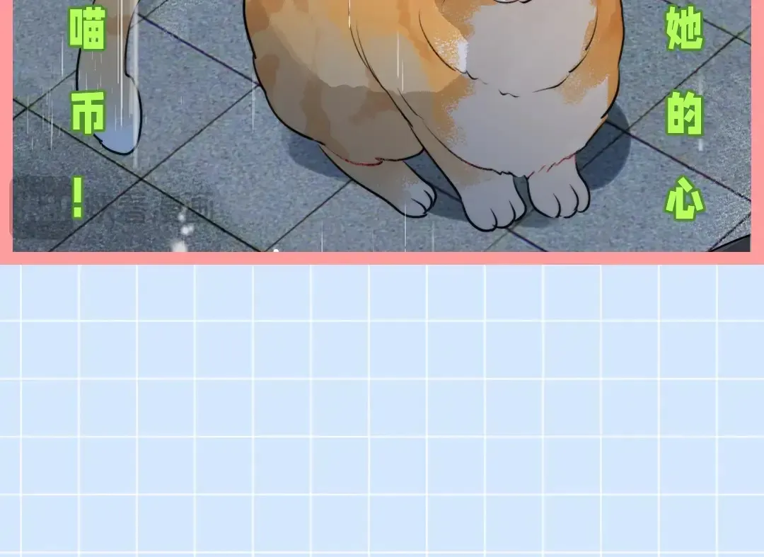 第10期小猫咪日记28
