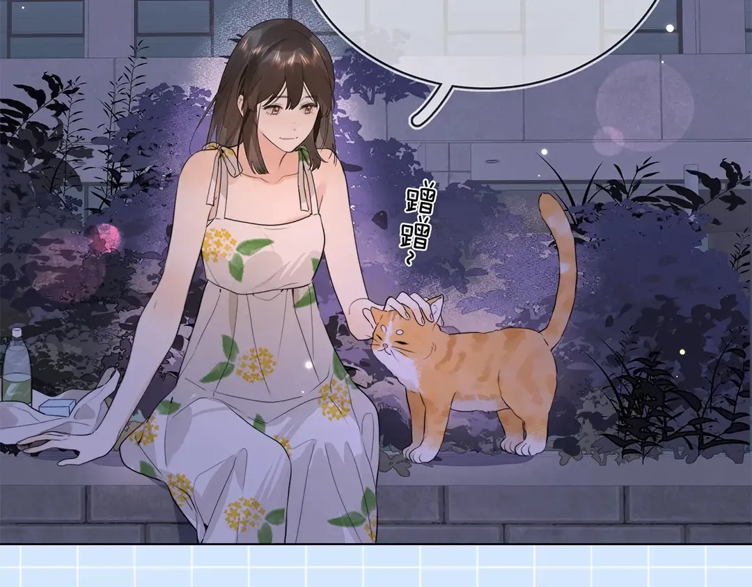 第10期小猫咪日记7