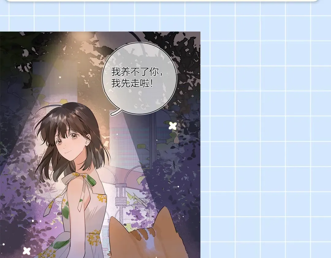 第10期小猫咪日记11