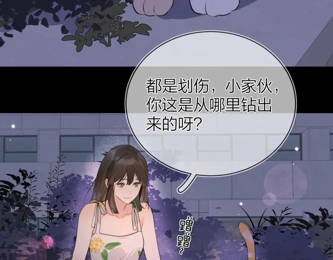 第9话 分了47