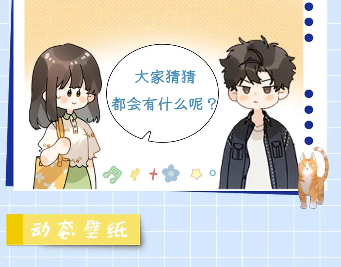第13期 动态壁纸大放送！3