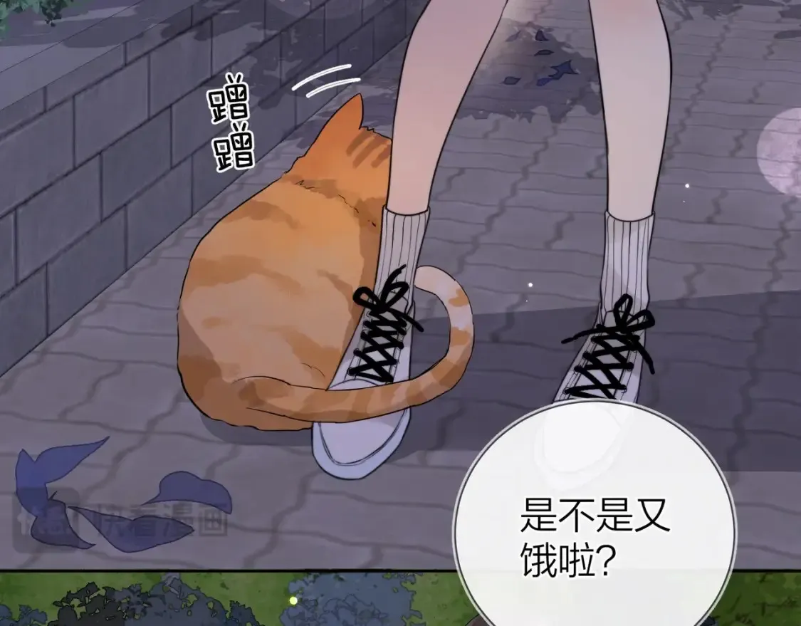 第十五话 一个人的秘密29