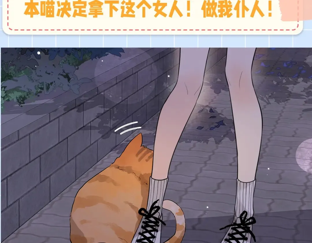 第10期小猫咪日记22