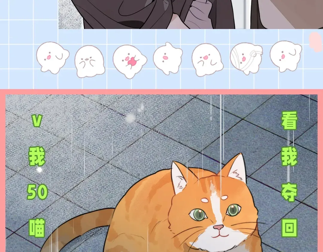 第10期小猫咪日记27