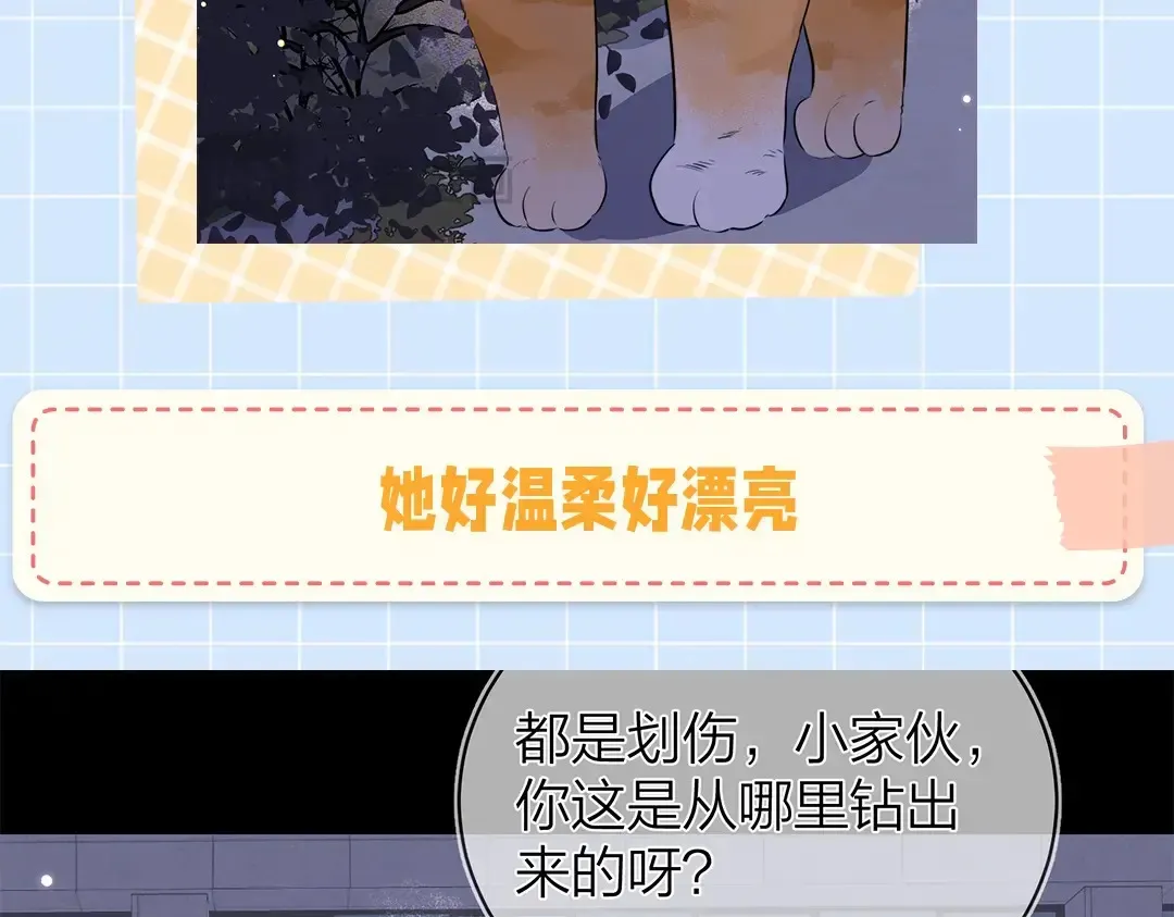 第10期小猫咪日记6