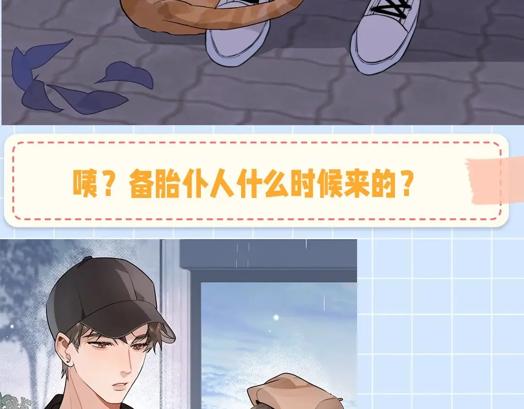 第10期小猫咪日记23
