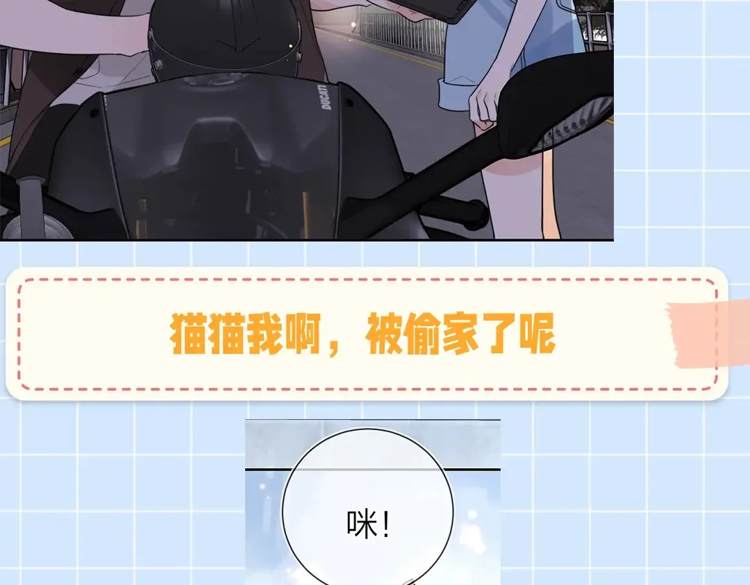 第10期小猫咪日记20
