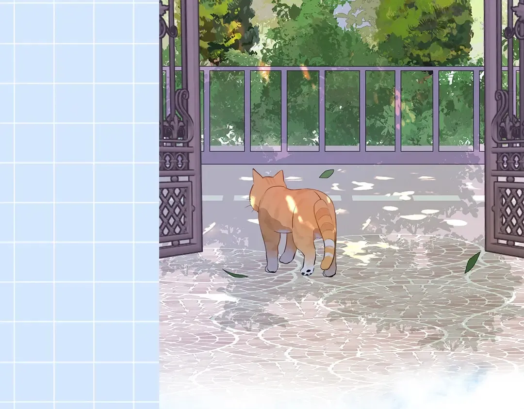 第10期小猫咪日记13