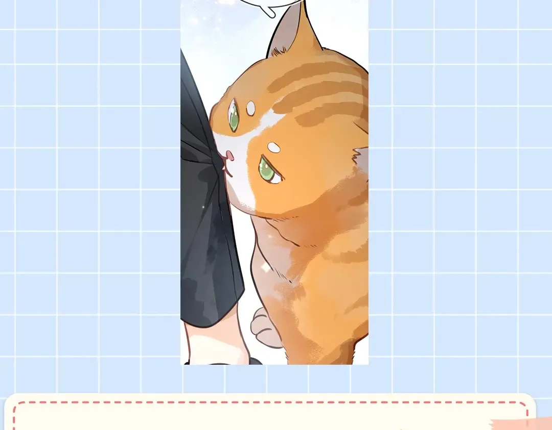 第10期小猫咪日记21