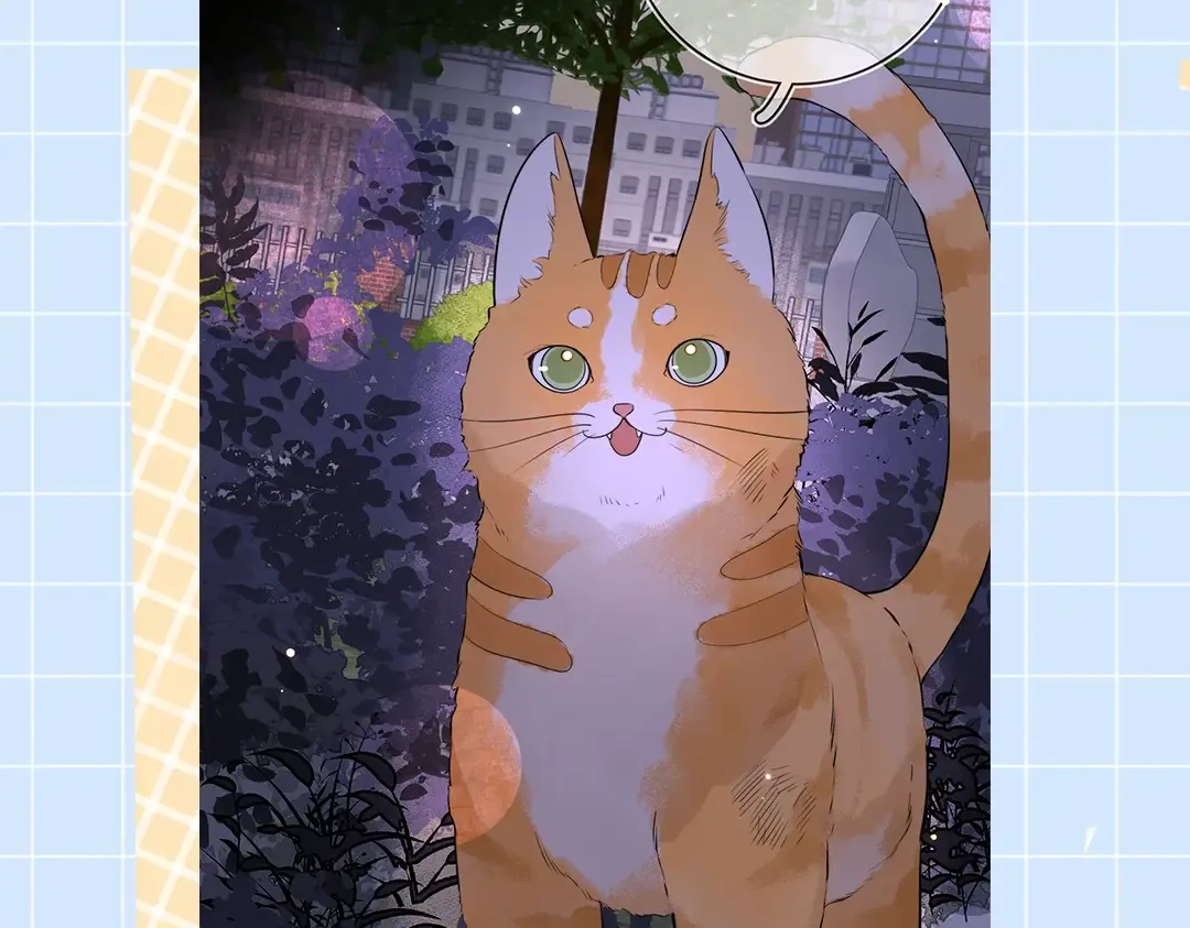第10期小猫咪日记5