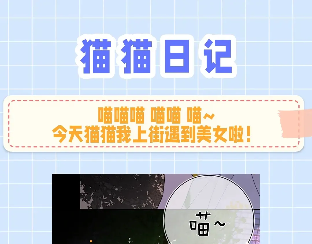 第10期小猫咪日记3