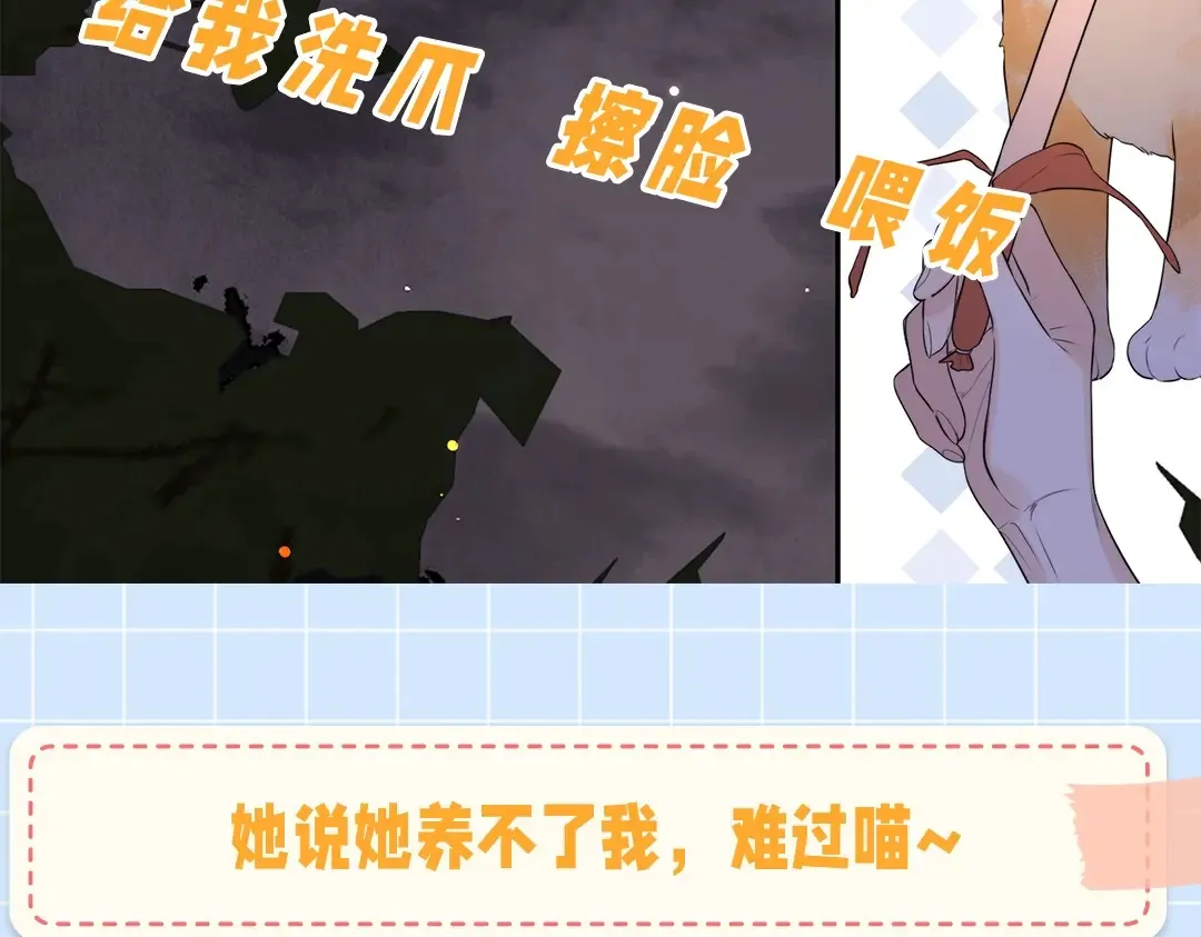 第10期小猫咪日记10