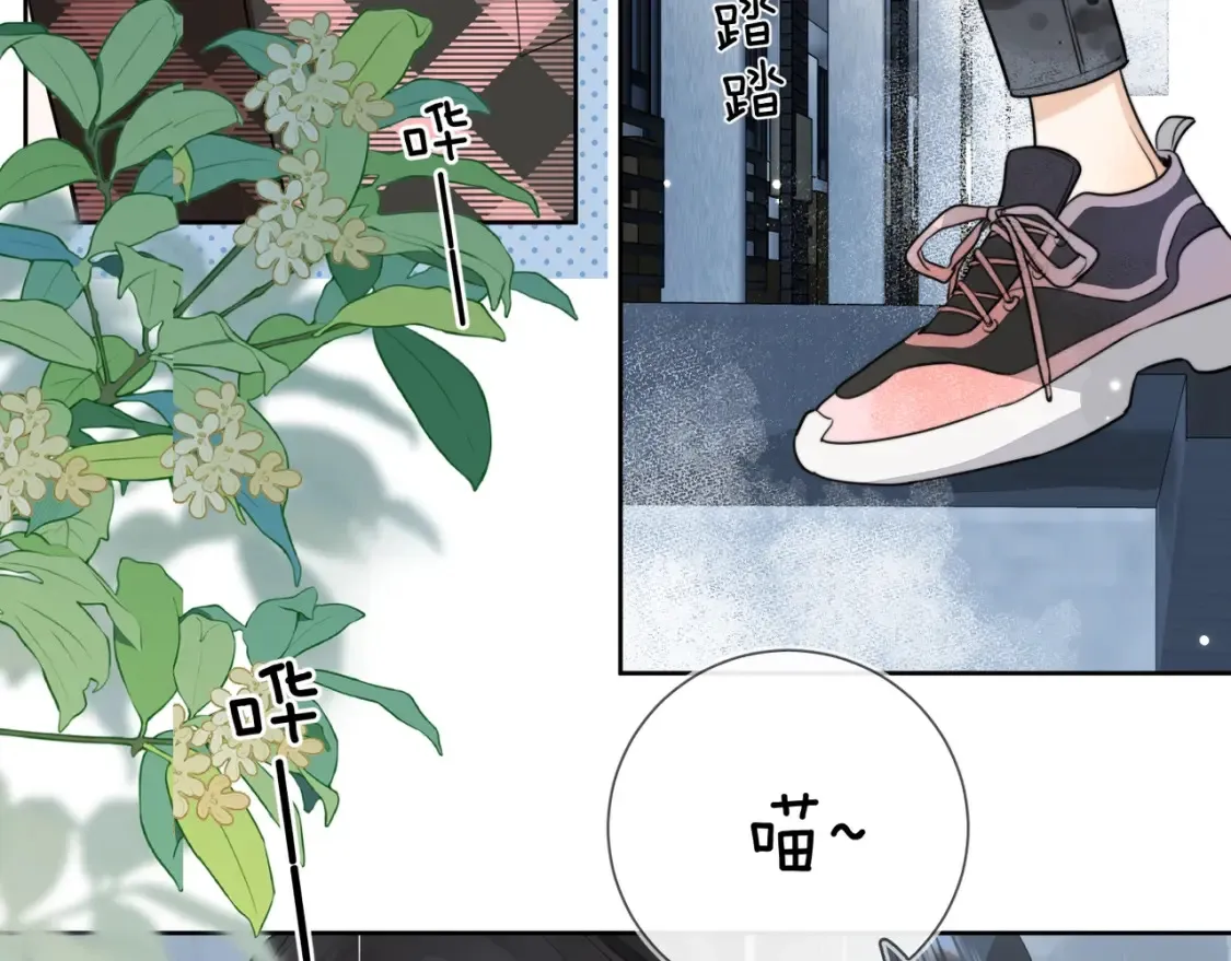 第十五话 一个人的秘密57
