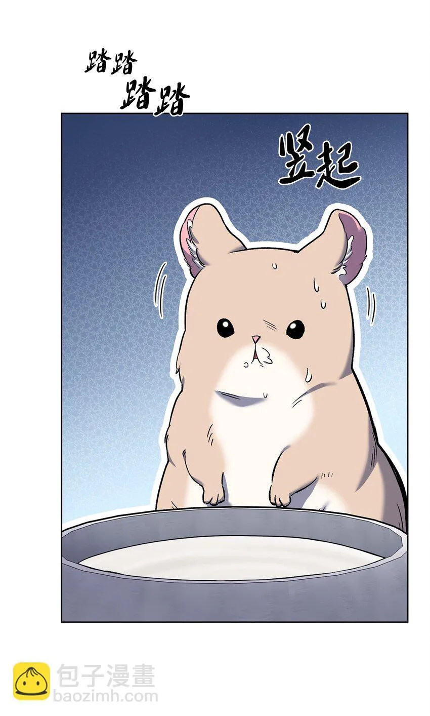 010 地下城老鼠51