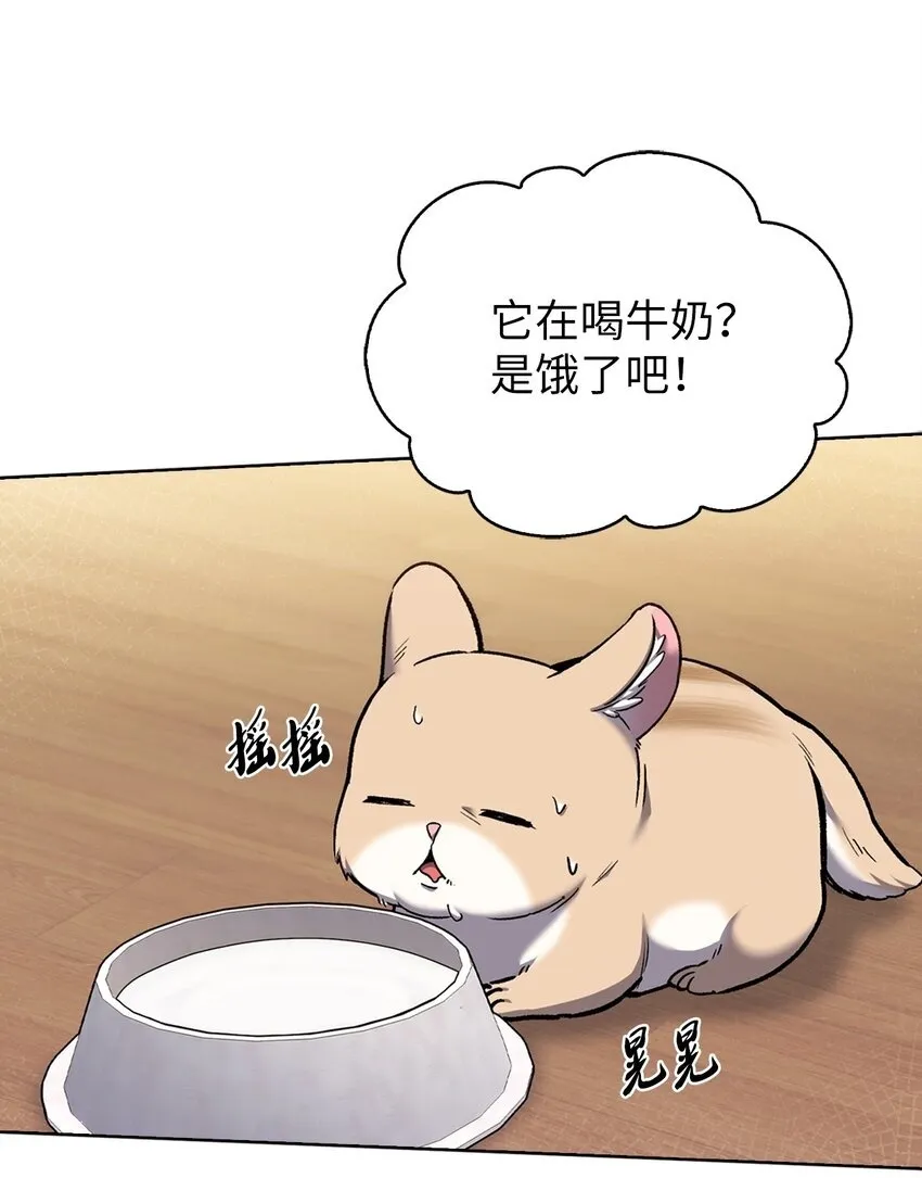 010 地下城老鼠49