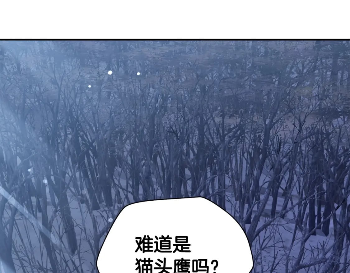 第26话 窥探172