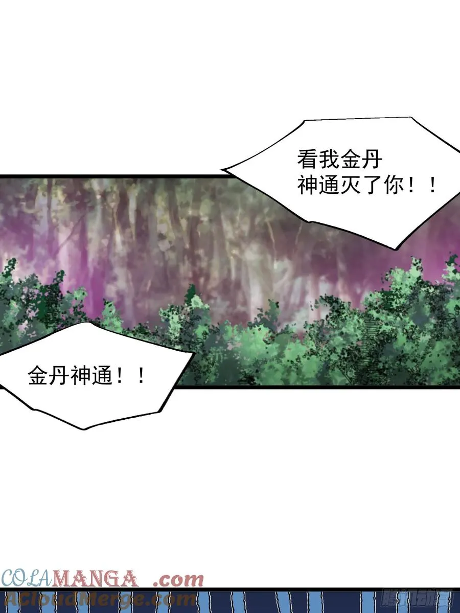 金丹？假丹！2