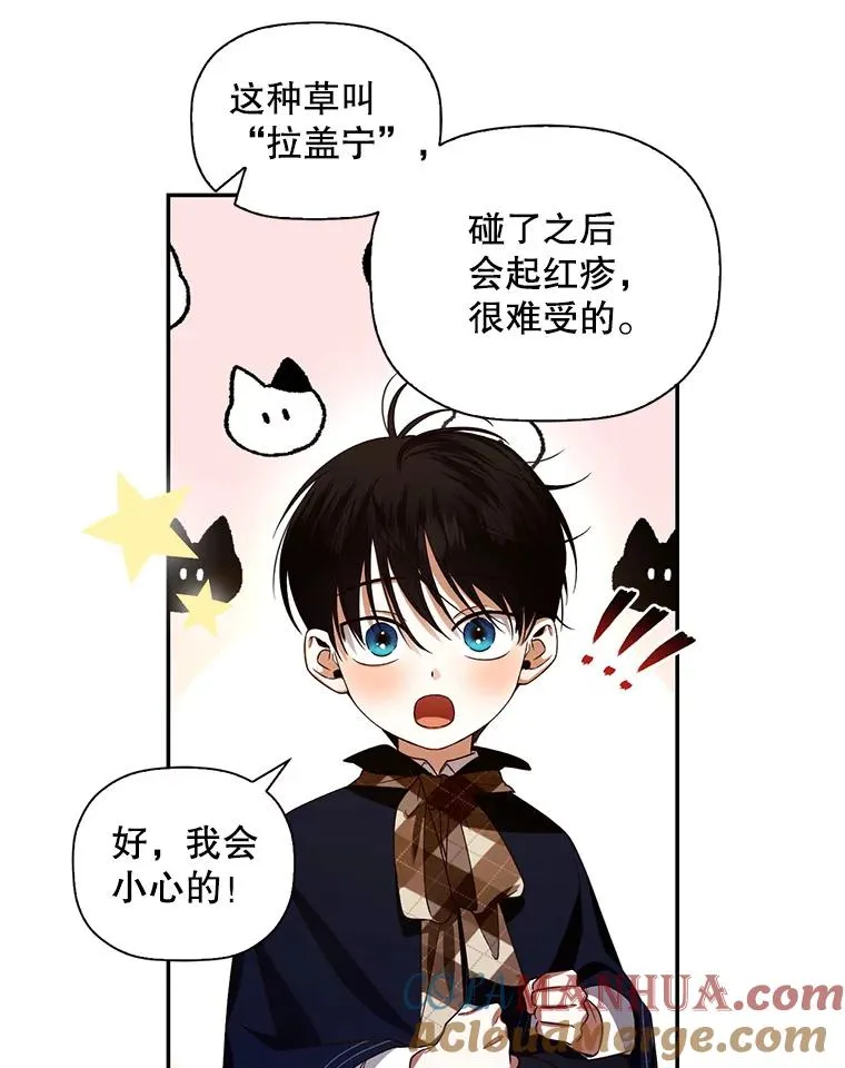 6.闲言碎语39