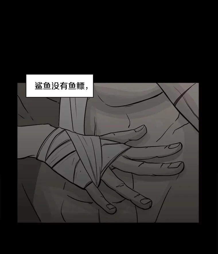 0.鲨鱼5