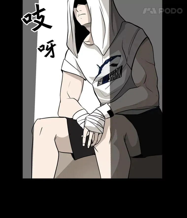 0.鲨鱼11