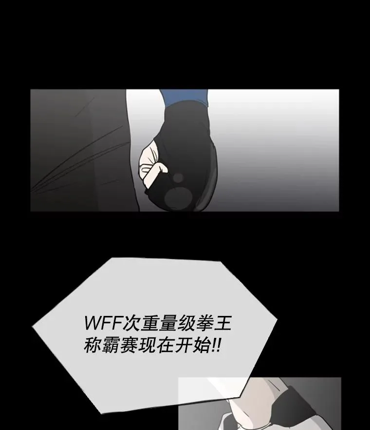 0.鲨鱼17