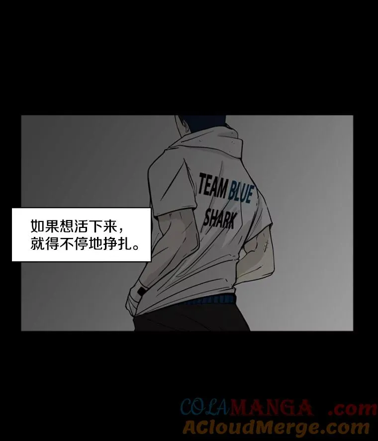 0.鲨鱼8