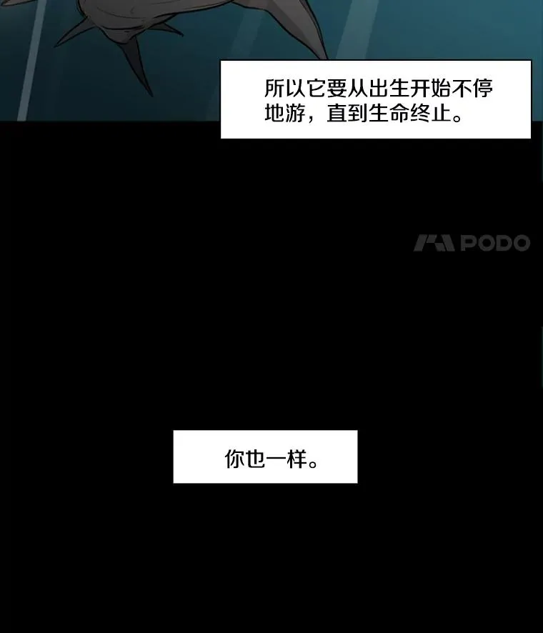 0.鲨鱼7