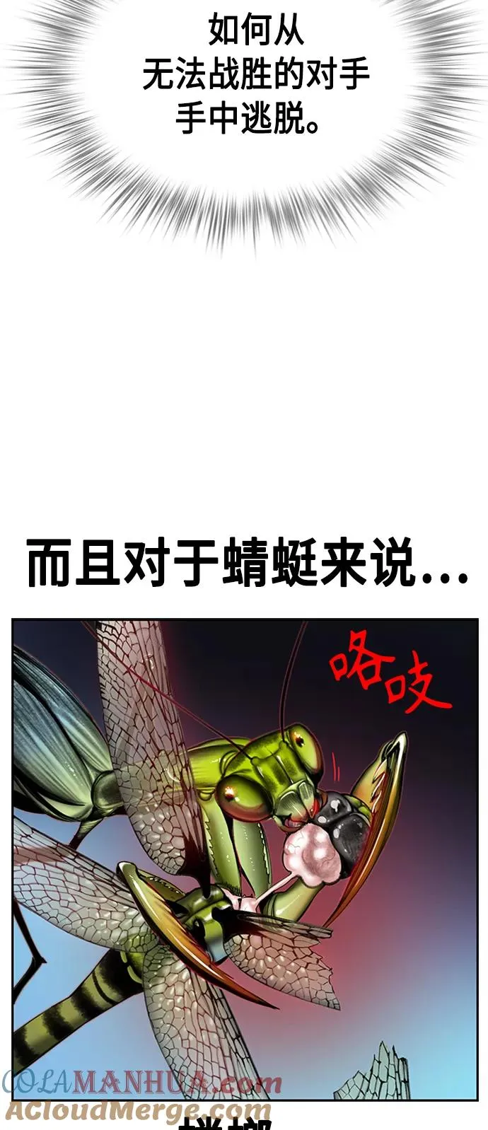 第9话81
