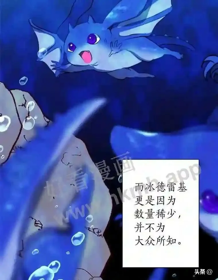 11.加入公会8