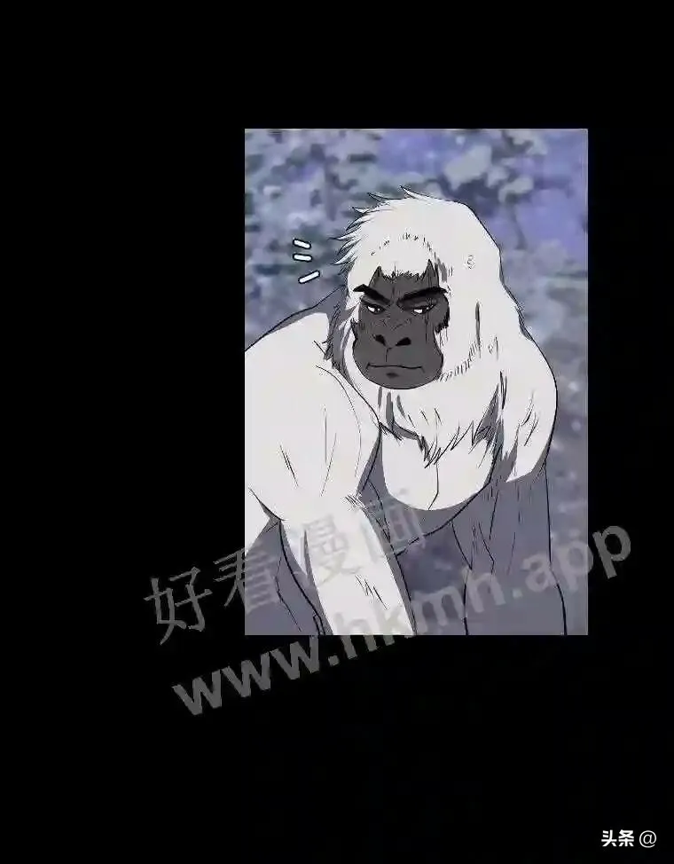 7.内戈的过去11