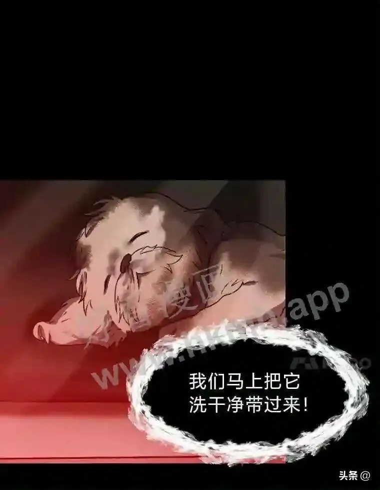 14.希露的恐惧41