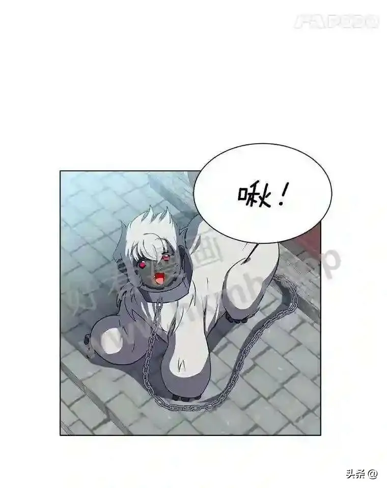 17.商团主人汤普森13