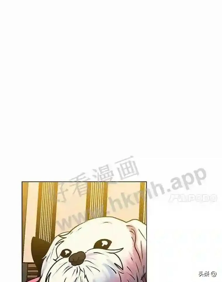 14.希露的恐惧11