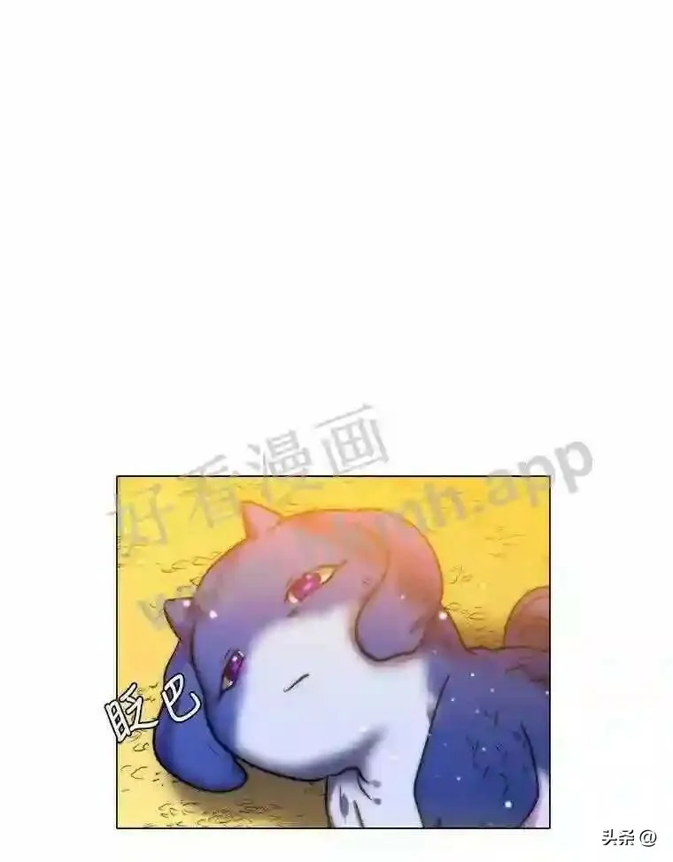 10.冰雪之心49
