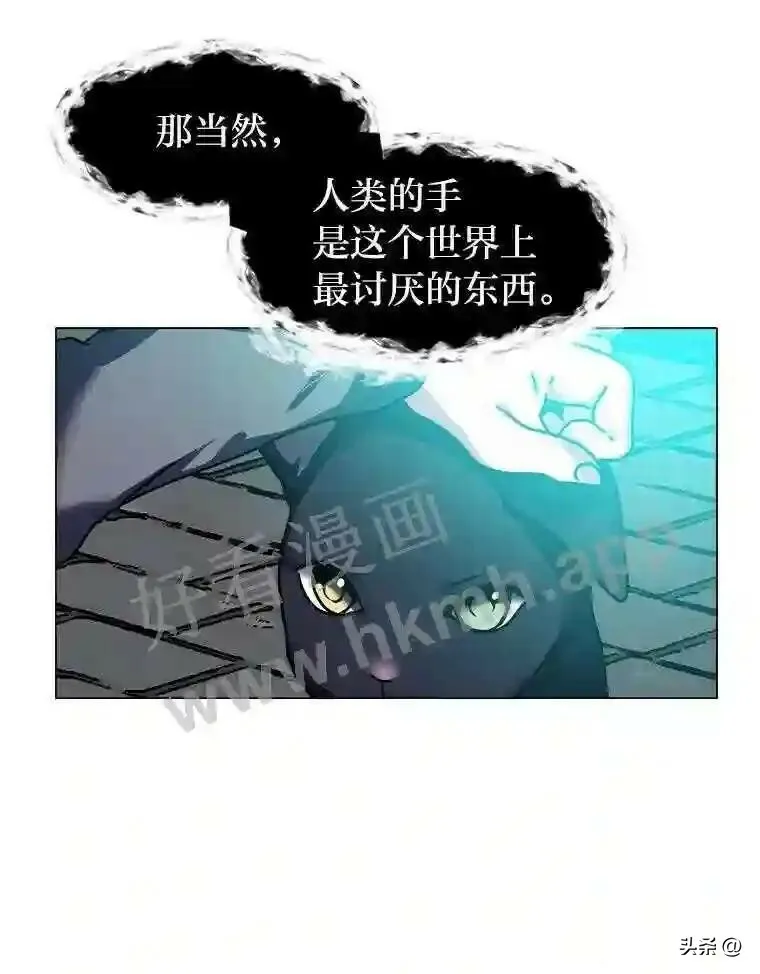 11.加入公会49