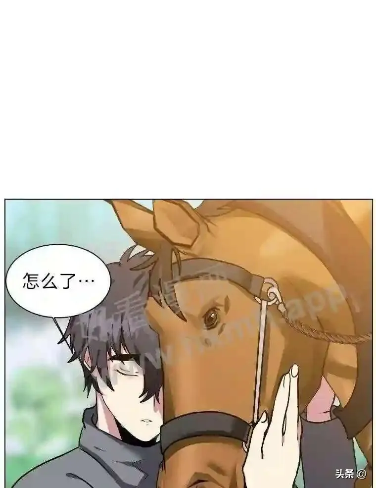 5.白色猛兽11