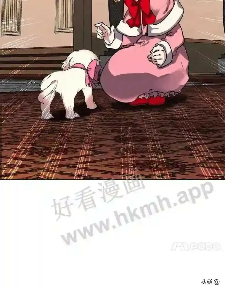 13.第一份委托67