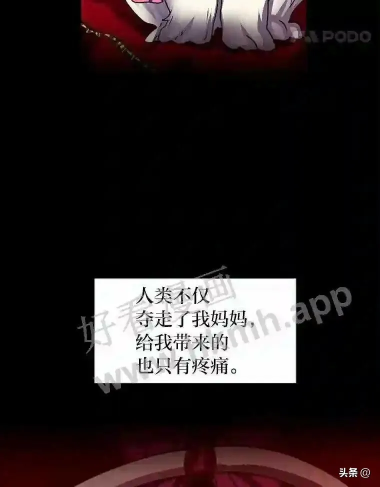 14.希露的恐惧45