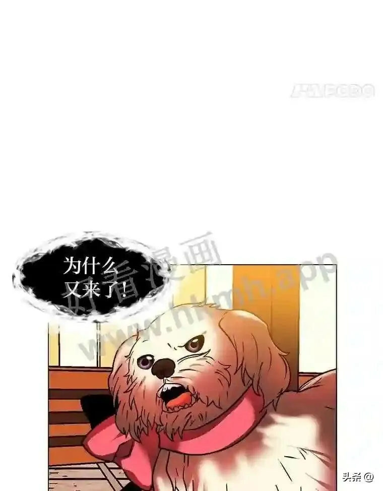 13.第一份委托61
