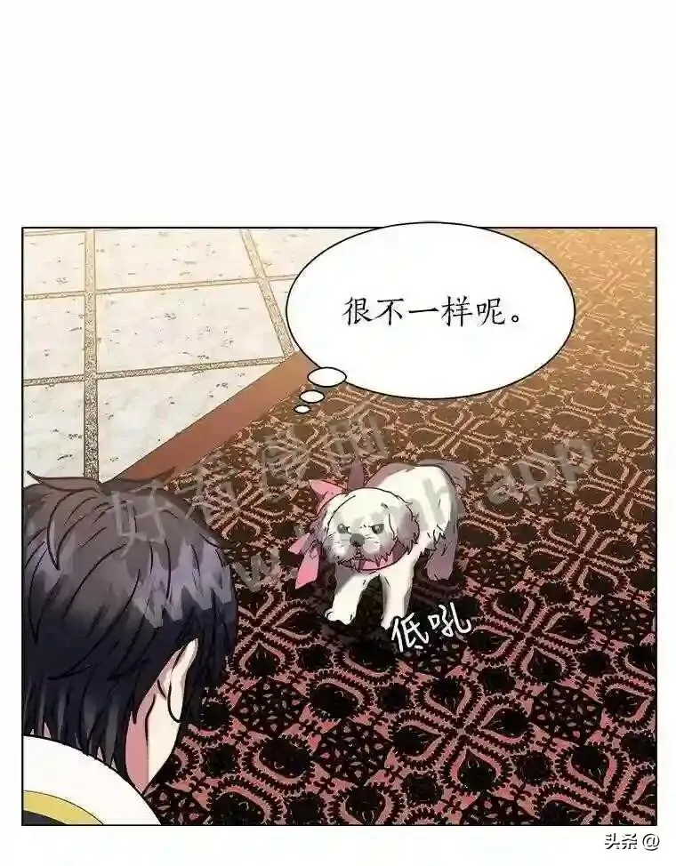 13.第一份委托60