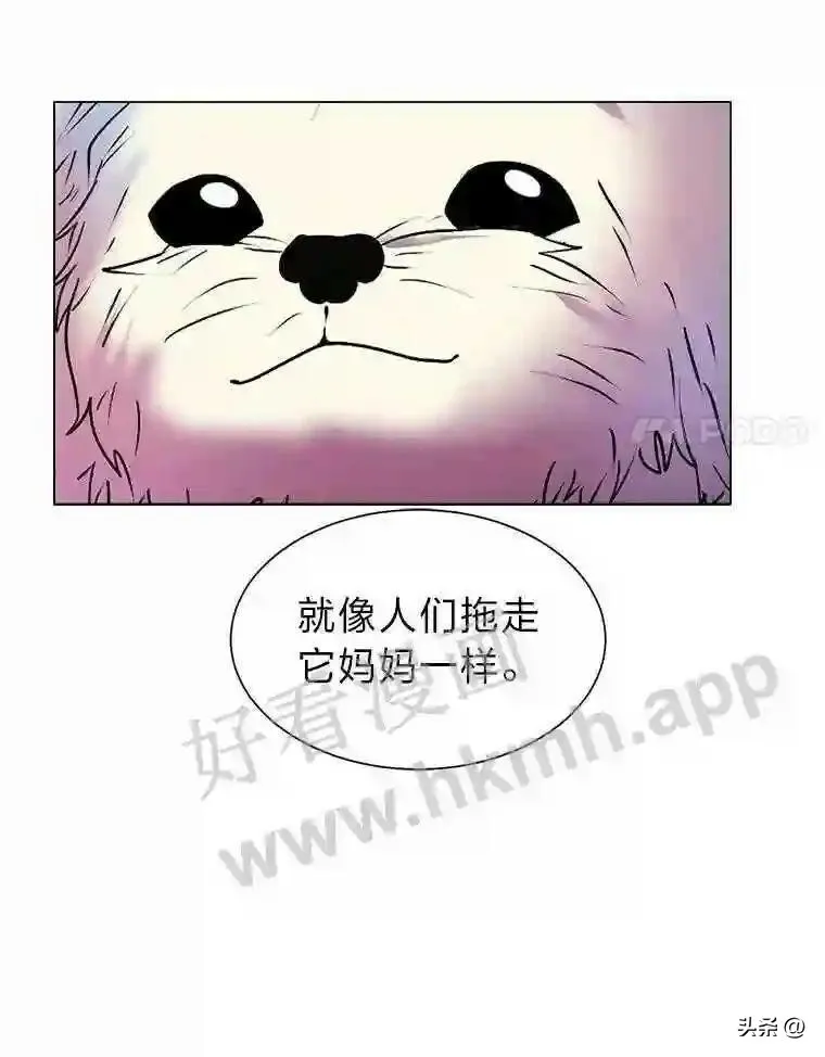 14.希露的恐惧68