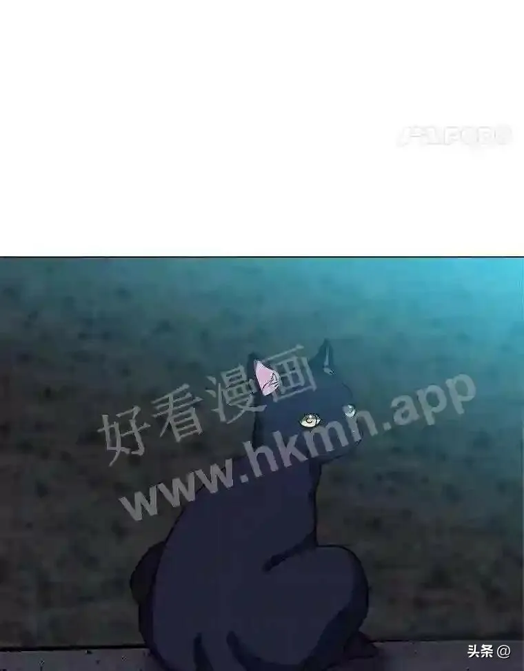 11.加入公会54