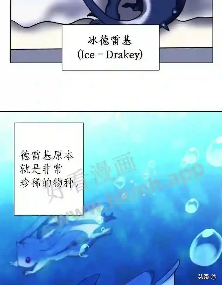 11.加入公会7
