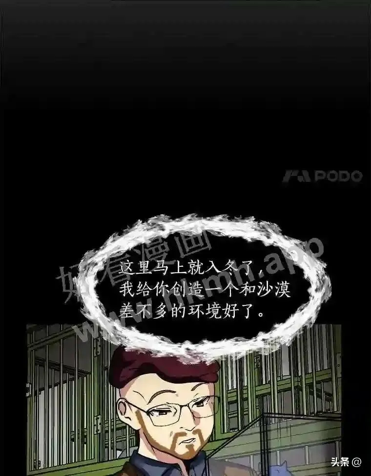 10.冰雪之心71