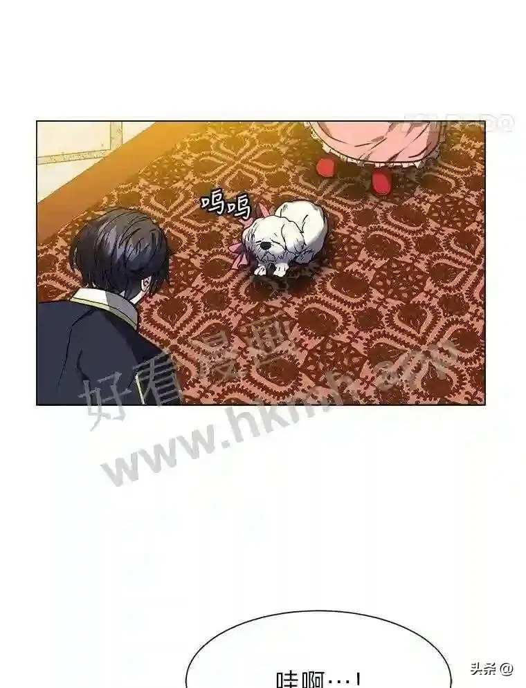 13.第一份委托81