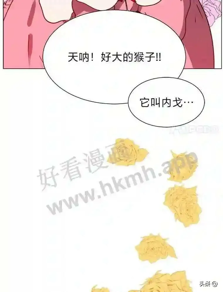13.第一份委托84